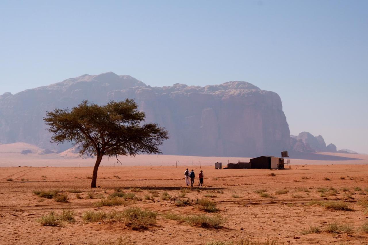 Wadi Rum Fig Tree Camp 外观 照片